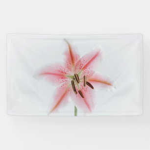 3' x 5' Banner
