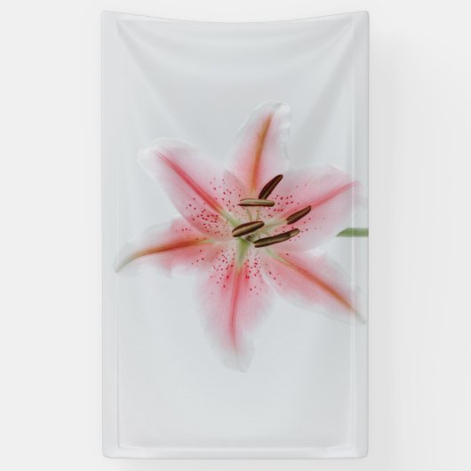 3' x 5' Banner (Vertikal)