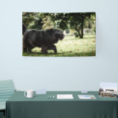 3' x 5' Banner (Messeveranstaltung)