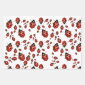 3 X Ladybug Geschenkpapier Set (Vorderseite 3)