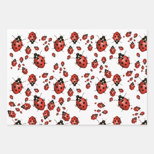 3 X Ladybug Geschenkpapier Set (Vorderseite 3)