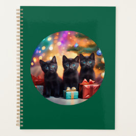 3 Young Blue Mit Augen Black Kittens Weihnachtslan Planer