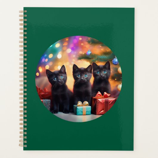 3 Young Blue Mit Augen Black Kittens Weihnachtslan Planer (Vorderseite)