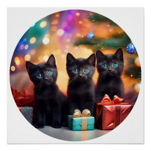 3 Young Blue Mit Augen Black Kittens Weihnachtslan Poster
