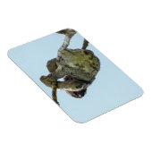 3-Zehenmagnet Magnet (Rechte Seite)