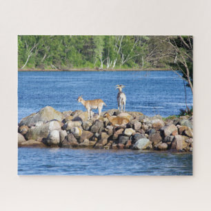 3 Ziegen auf Felsen Puzzle