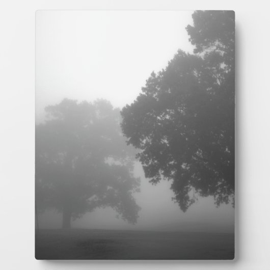 3Bäume Fotoplatte (Vorderseite)