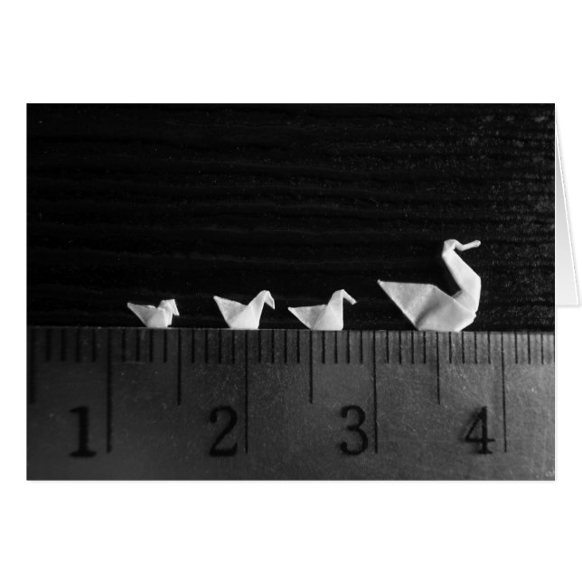 3cm Familien-Schwimmen (Vorderseite (Horizontal))