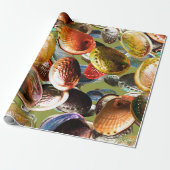 3D Abalone Colorful Seashell Geschenkpapier (Ungerollt)