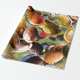 3D Abalone Colorful Seashell Geschenkpapier