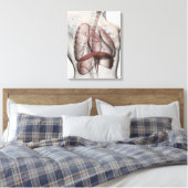 3D-Ansicht des männlichen Atemsystems Leinwanddruck (Insitu (Schlafzimmer))