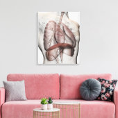 3D-Ansicht des männlichen Atemsystems Leinwanddruck (Insitu (Wohnzimmer))