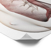 3D-Ansicht des weiblichen Atemsystems 1 Poster (Ecke)