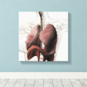 3D-Ansicht des weiblichen Atemsystems 3 Leinwanddruck (Insitu (Holzboden))