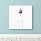 3D-Ansicht des weiblichen Atemsystems Leinwanddruck (Insitu (Holzboden))