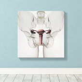 3D-Ansicht des weiblichen Fortpflanzungssystems Leinwanddruck (Insitu (Holzboden))