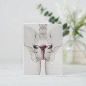 3D-Ansicht des weiblichen Fortpflanzungssystems Postkarte (Stehend Vorderseite)