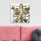 3D Ansicht weiblicher Sternum- und Rippenkäfige Leinwanddruck (Insitu (Wohnzimmer))