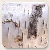 3D-Birkenrinde Getränkeuntersetzer (Vorderseite)