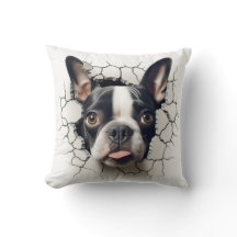 3D Boston Terrier Cracked Hole