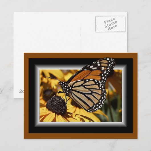 3D-BUTTERFLY-POSTCARD POSTKARTE (Vorne/Hinten)