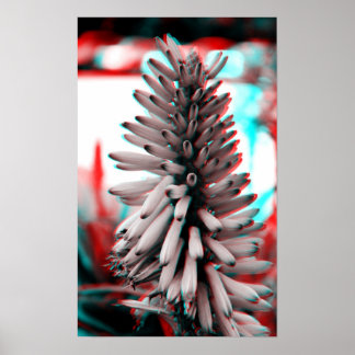 3D Crazy Blume Poster