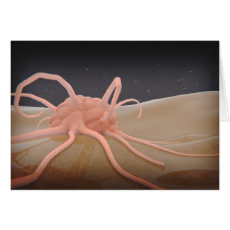 3D-Darstellung der Makrophage-Phagozytose