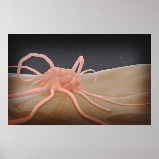 3D-Darstellung der Makrophage-Phagozytose Poster (Vorne)