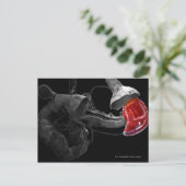 3D-Darstellung der Milz Postkarte (Stehend Vorderseite)