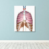 3d Darstellung des Atemsystems Leinwanddruck (Insitu (Holzboden))