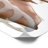 3d Darstellung des Atemsystems Poster (Ecke)