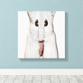 3D-Darstellung des männlichen Fortpflanzungssystem Leinwanddruck (Insitu (Holzboden))