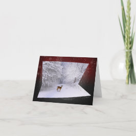 3D Illusion "Snowy träumt " Feiertagskarte