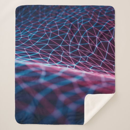 3D illustration, embossed mesh representing intern Sherpadecke (Vorderseite)