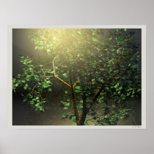 3D Japanischer Ahornbaum Poster