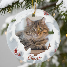 3D Katzen-Weihnachtsgeschenk mit personalisiertem 