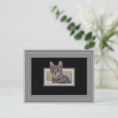 3D KITTY POSTCARD POSTKARTE (Stehend Vorderseite)