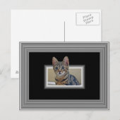 3D KITTY POSTCARD POSTKARTE (Vorne/Hinten)