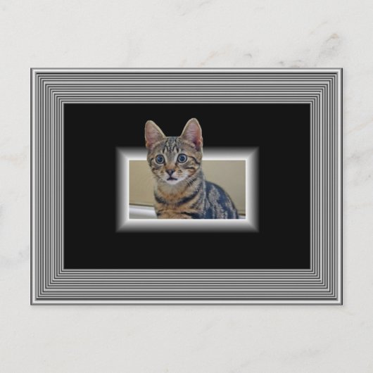 3D KITTY POSTCARD POSTKARTE (Vorderseite)