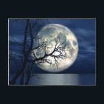 3D Landschaft Hintergrund mit Mond über dem Meer Postkarte<br><div class="desc">3D Landschaft Hintergrund mit Mond über dem Meer mit totem Baum © und ® Bigstock® - Alle Rechte vorbehalten.</div>