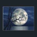3D Landschaft Hintergrund mit Mond über dem Meer Postkarte<br><div class="desc">3D Landschaft Hintergrund mit Mond über dem Meer mit totem Baum © und ® Bigstock® - Alle Rechte vorbehalten.</div>