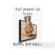 3D Meerkat | Nur auftauchen, um zu sagen.. Jede Ge