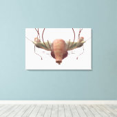 3d-Modell des weiblichen Fortpflanzungssystems Leinwanddruck (Insitu (Holzboden))