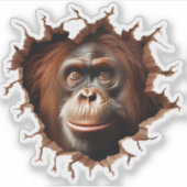 3D Orangutan Mauer Break - The Restaurant Aufkleber (Vorderseite)