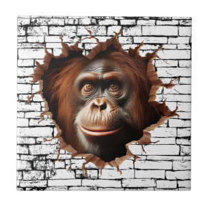 3D Orangutan Mauer Break - The Restaurant Fliese