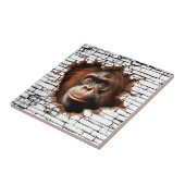 3D Orangutan Mauer Break - The Restaurant Fliese (Seite)
