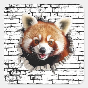 3D-Rot-Panda-Wandbruch-Kunst – Realistischer Safar Quadratischer Aufkleber