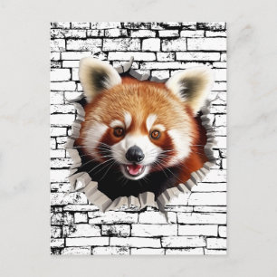 3D-Rotpanda-Wandbruch-Kunst – Realistischer Safari Postkarte