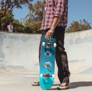 3D-Schildkröten Küste Skateboard