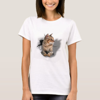 3d Schöne und lustige Katze T-Shirt